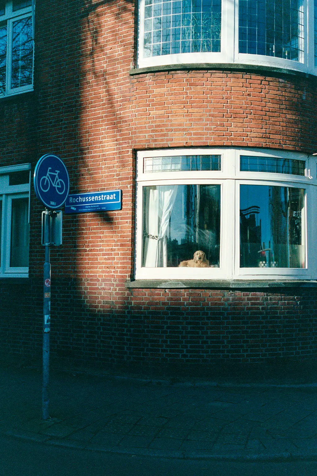 Description of photo 6