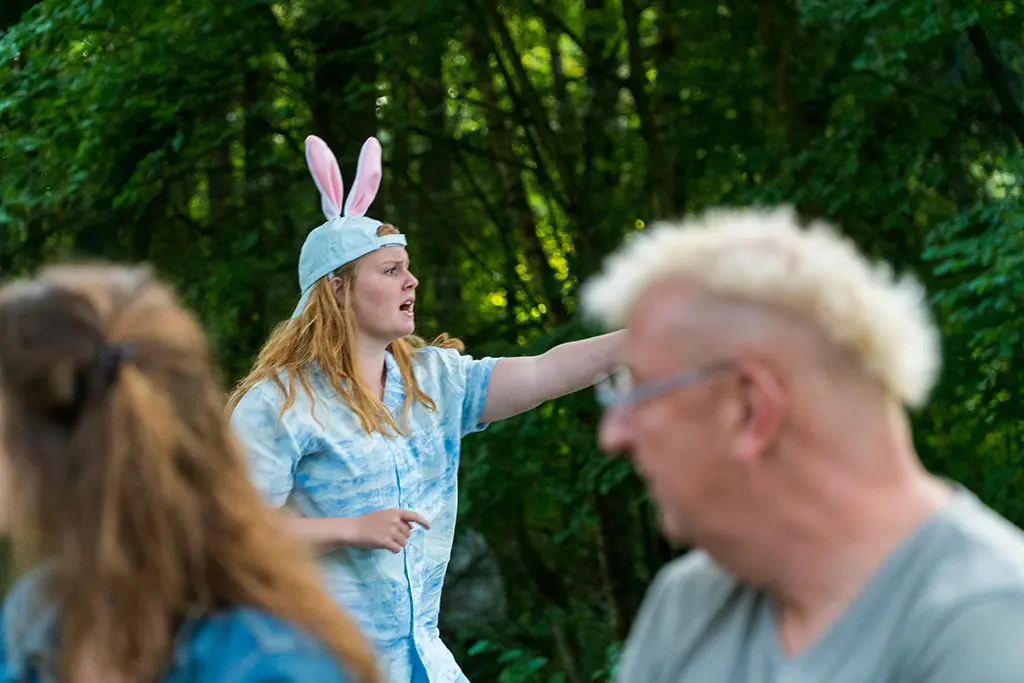 Description of photo 5